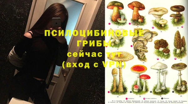 шишки Алексеевка
