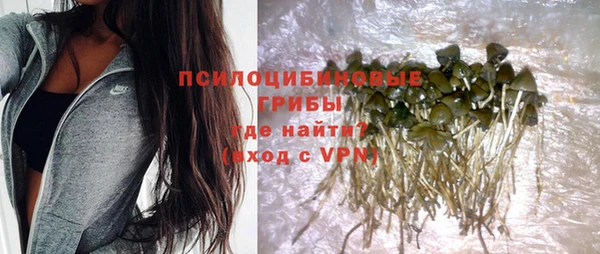 шишки Алексеевка