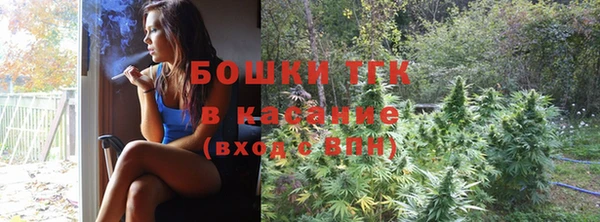 шишки Алексеевка