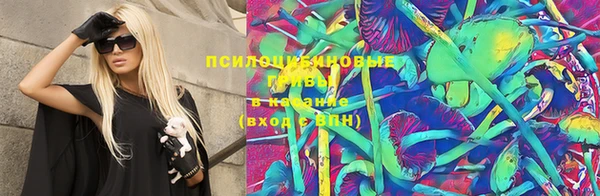 шишки Алексеевка