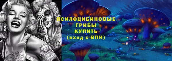 2c-b Алзамай
