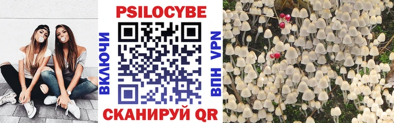 Псилоцибиновые грибы Psilocybe как найти Нарьян-Мар
