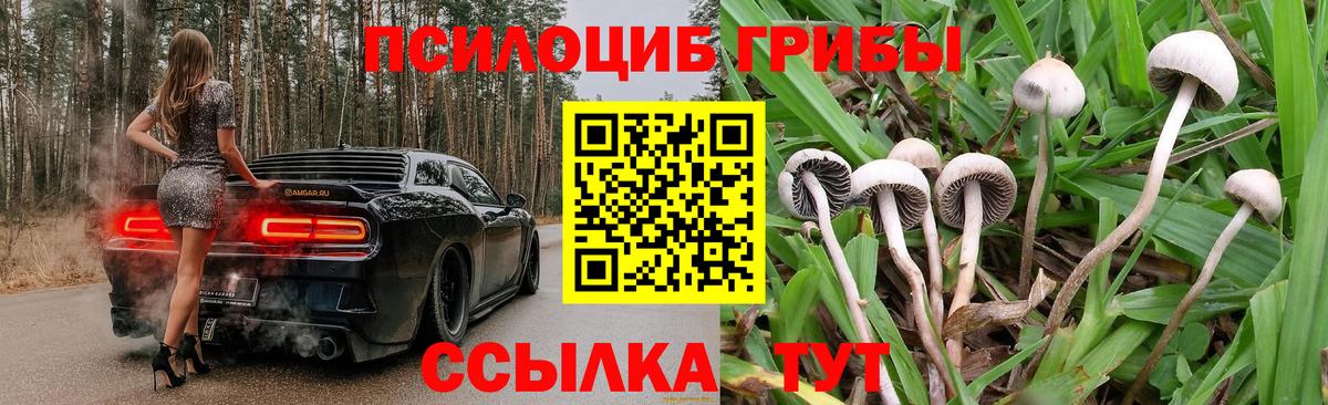 Псилоцибиновые грибы мухоморы Нарьян-Мар